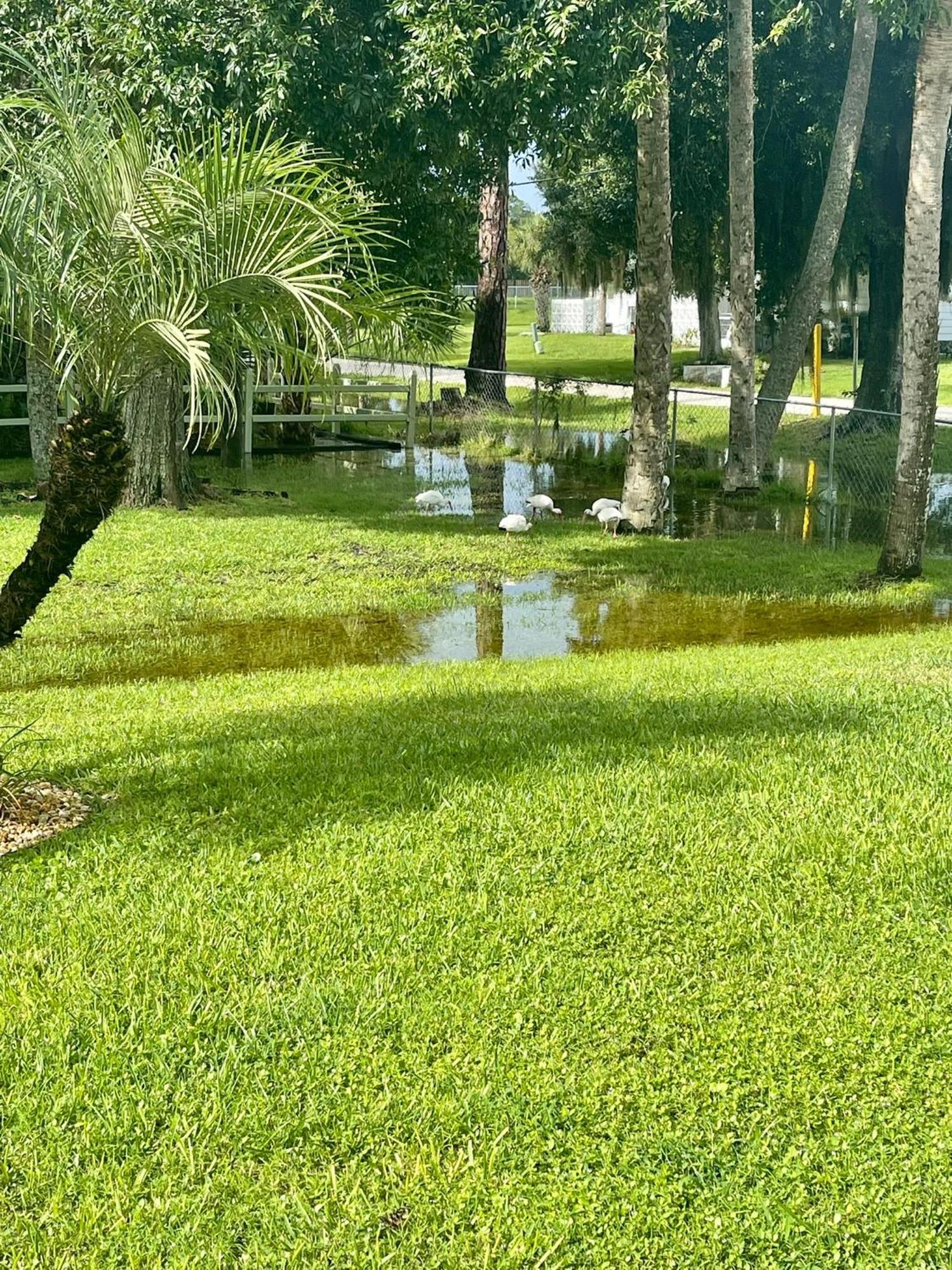 Sunny Oasis Getaway -Heated Pool-Mini Golf-Near Beach Nokomis Zewnętrze zdjęcie